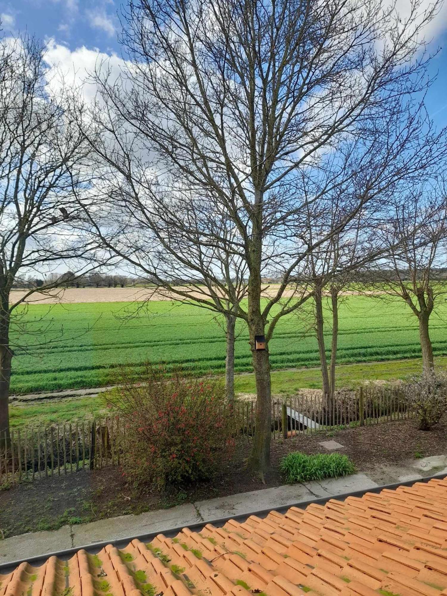 Wilgenwind Villa Sijsele Luaran gambar