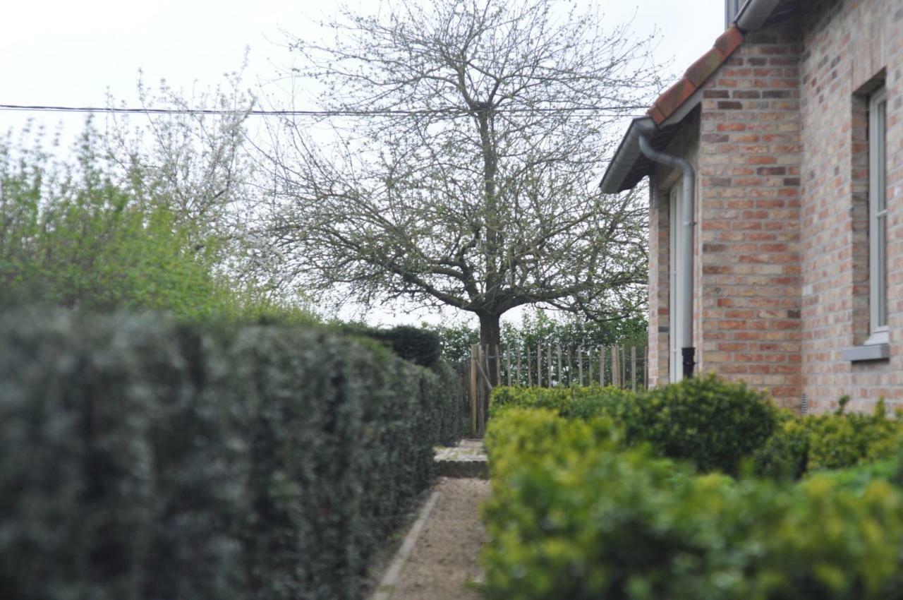 Wilgenwind Villa Sijsele Luaran gambar