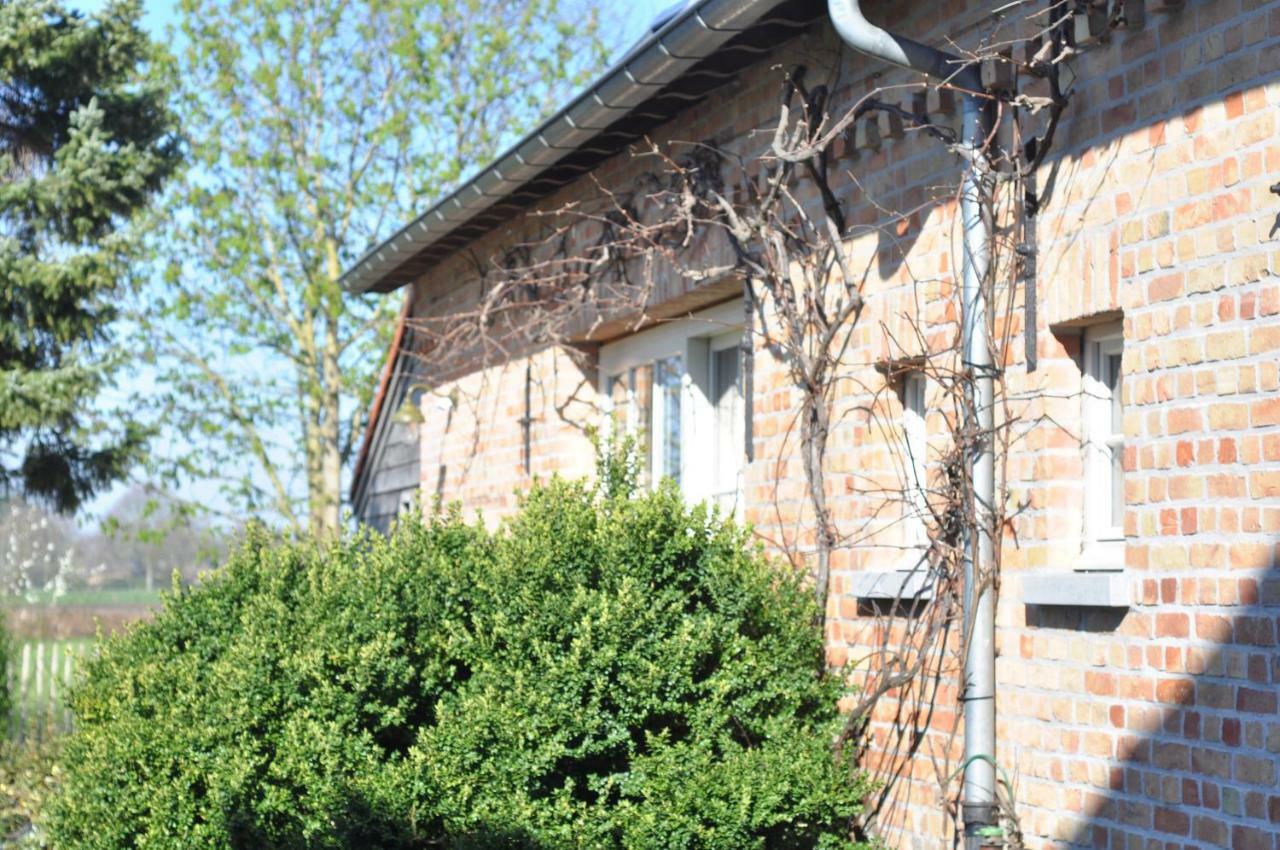 Wilgenwind Villa Sijsele Luaran gambar